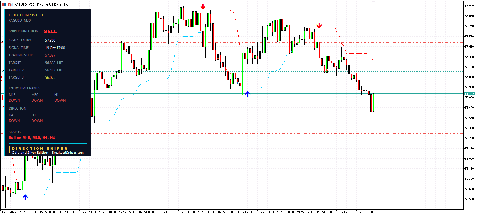 Silver M30 panel, Targets 1 and 2 HIT