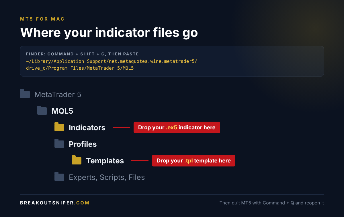 MT5 for Mac folder map showing where the .ex5 indicator file and the .tpl template file go inside the MQL5 folder